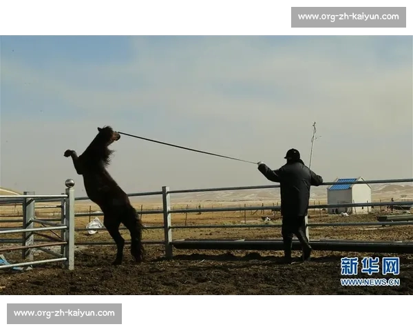 马背天骄：锡林郭勒草原驯马人的传奇与传承